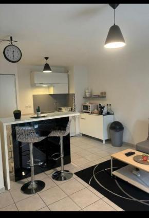 T2 cosy tout équipé à deux pas de la gare de annemasse